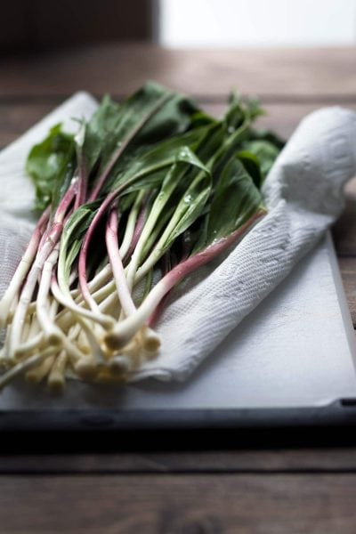 What are ramps? A photo of ramps.