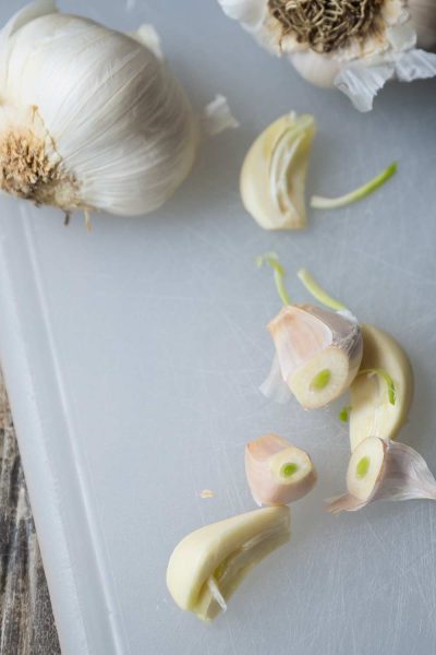What does it mean when garlic sprouts? Get the run down on Savory Simple.