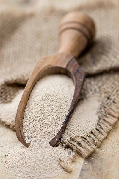 A large scoop full of dry yeast